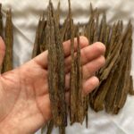 OUD AJROKI